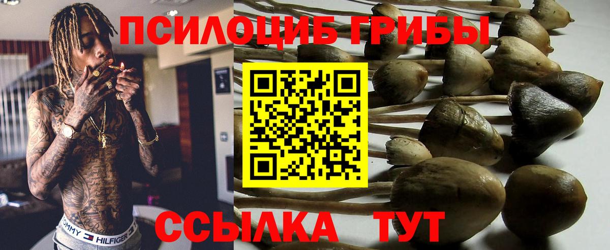 Галлюциногенные грибы MAGIC MUSHROOMS  Вход с VPN  Псилоцибиновые грибы ЛСД  Москва 
